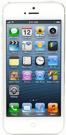 Смартфон Apple iPhone 5 32Gb White & Silver - Рубцовск